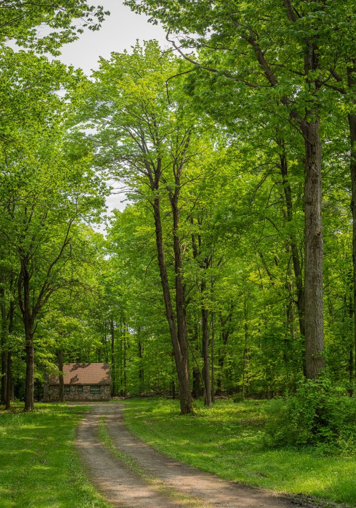 Trail at Chestnut Ridge Park