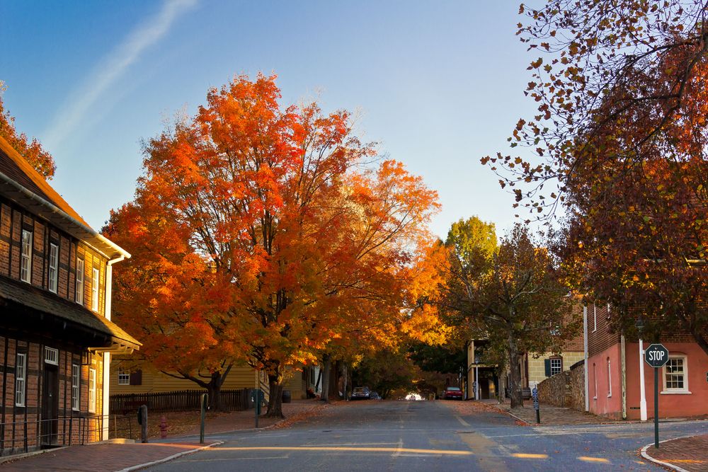 Fall scene at Old Salem Museums & Gardens