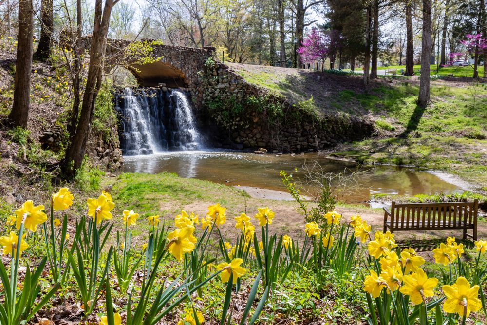 Waterfall at Reynolda