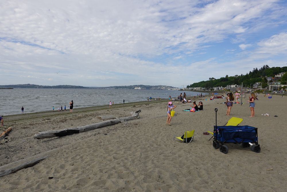 People at Alki Beach Park