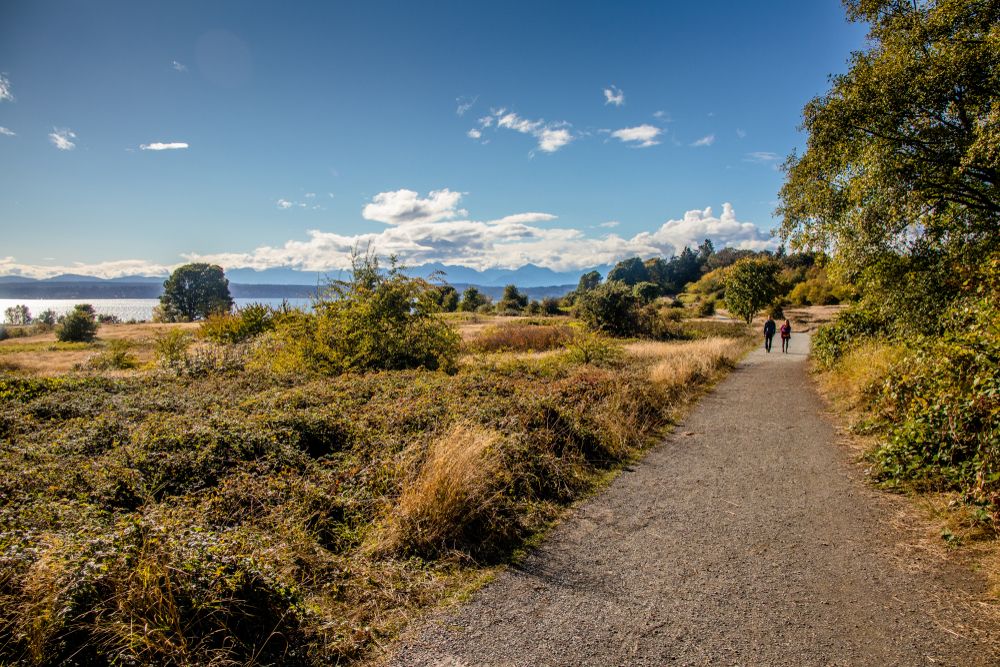 People walking along Discovery Park