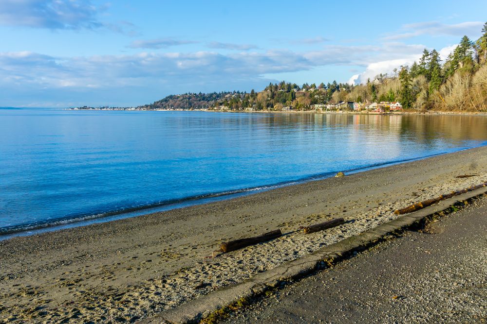 View of Lincoln Park's water