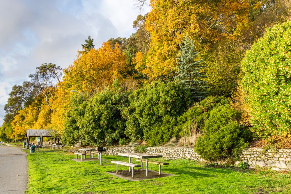 Picnic tables along Lincoln Park