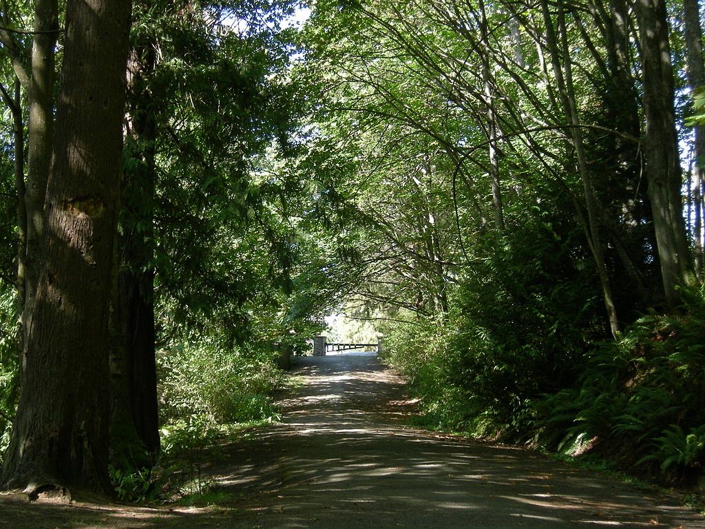 Nature trail in Schmitz Preserve Park