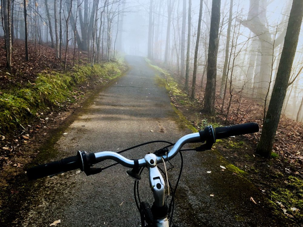 A bicycle along Tims Ford State Park's paved trail
