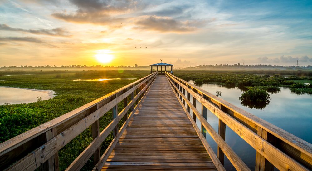 Boardwalk at Cattail Marsh Scenic Wetlands