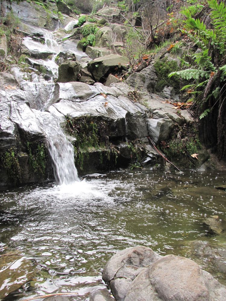 Cascades of Sycamore Canyon Falls