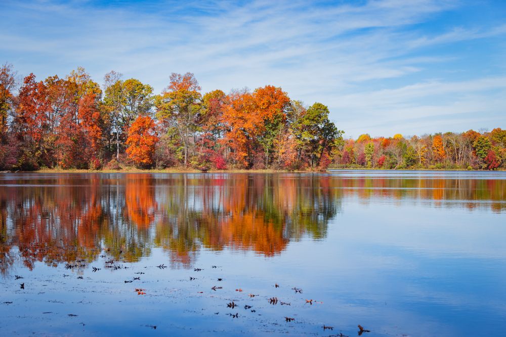 Fall foliage on Lake Brittle