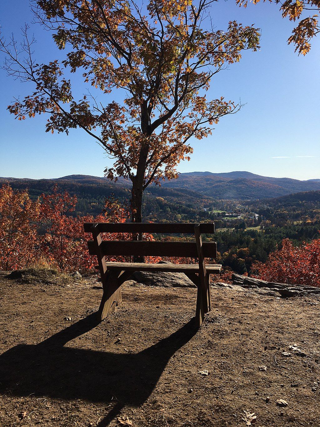Wooden bench at Marsh-Billings-Rockefeller National Historic Park