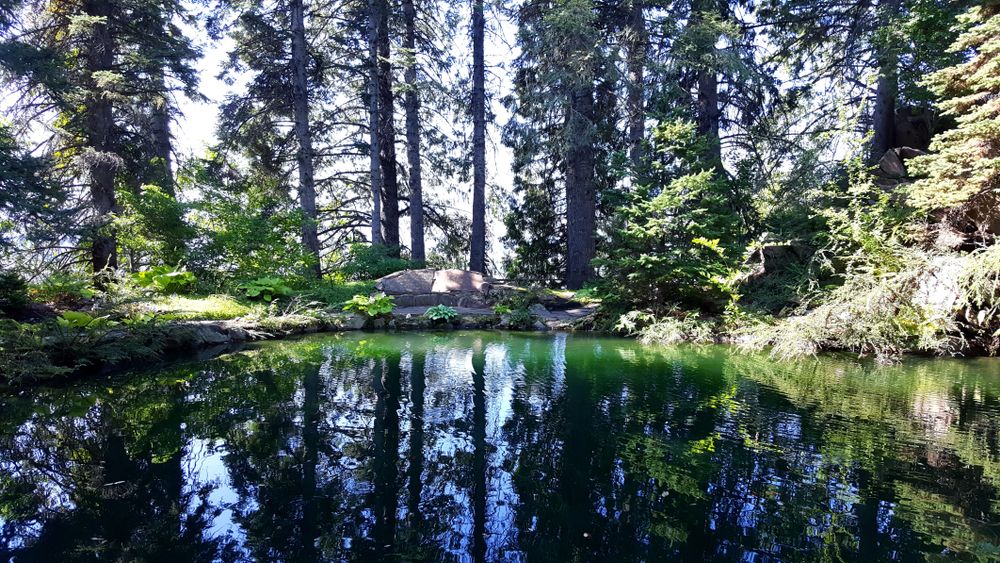 The waters of Ohme Gardens