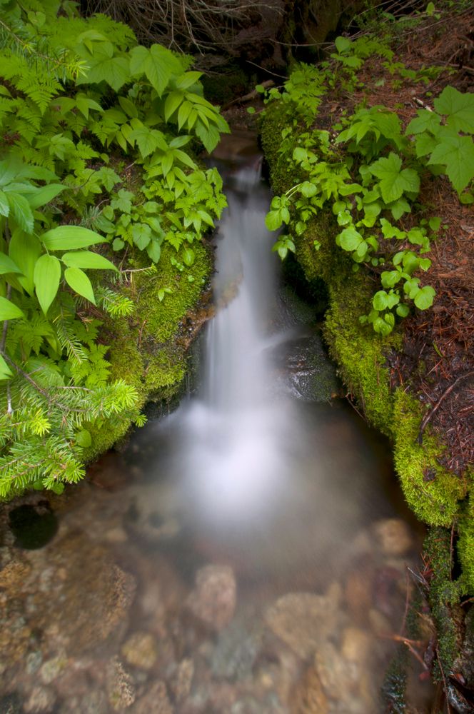 Waterfall at Okanogan-Wenatchee National Forest