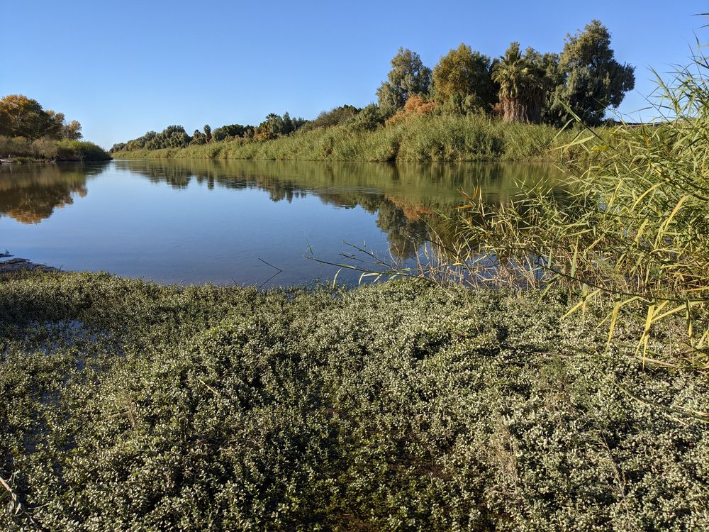 A river at West Wetlands Park