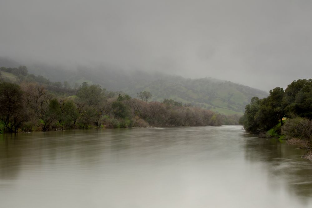 The waters of Putah Creek