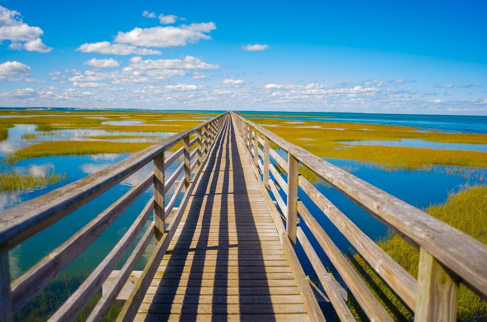 Boardwalk at Gray's Beach