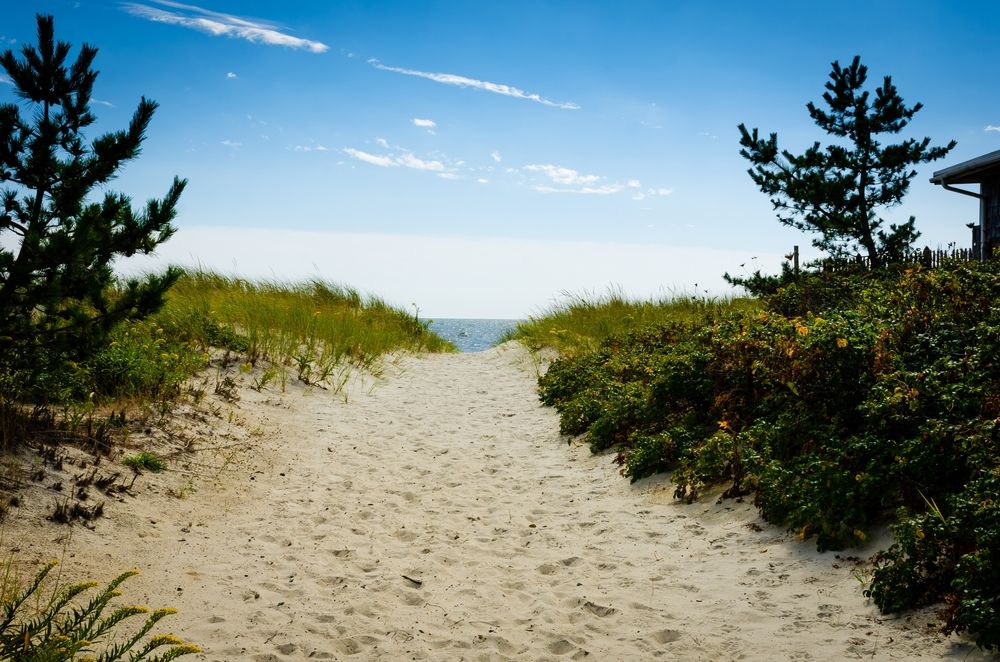 Sand trail of Seagull Beach