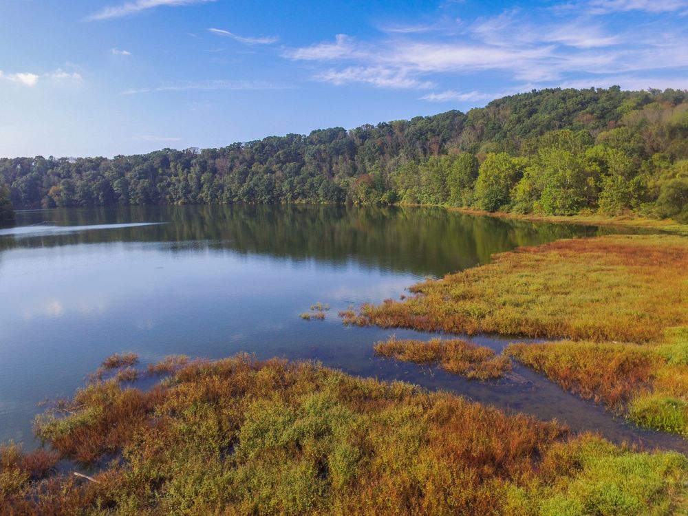 The waters of Lake Redman