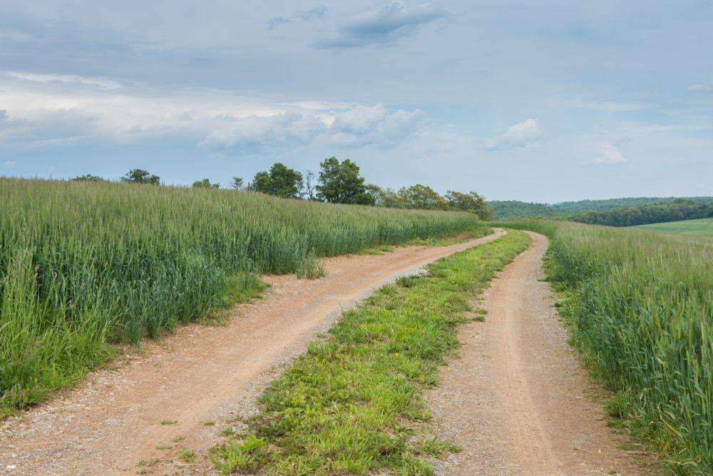 Trail at William H. Kain County Park