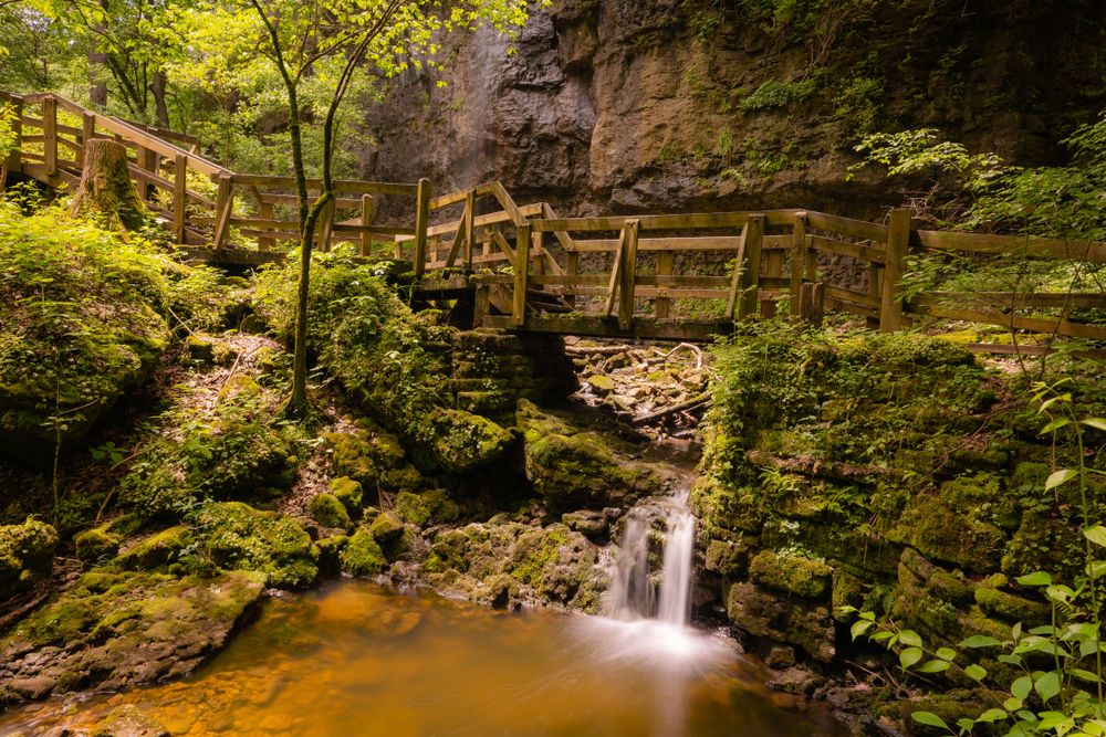 Cliffside trail at Clifton Gorge State Nature Preserve