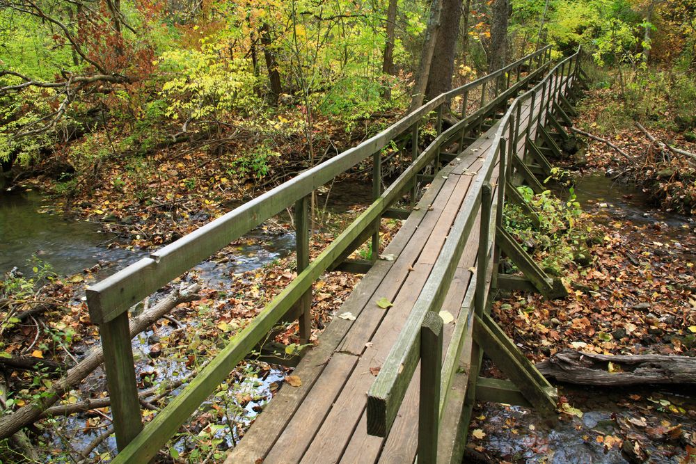 Trail at Glen Helen Nature Preserve