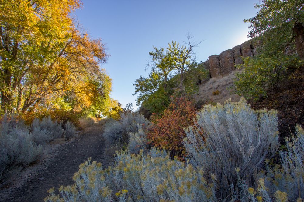 Beautiful plants along Cowiche Canyon Trails