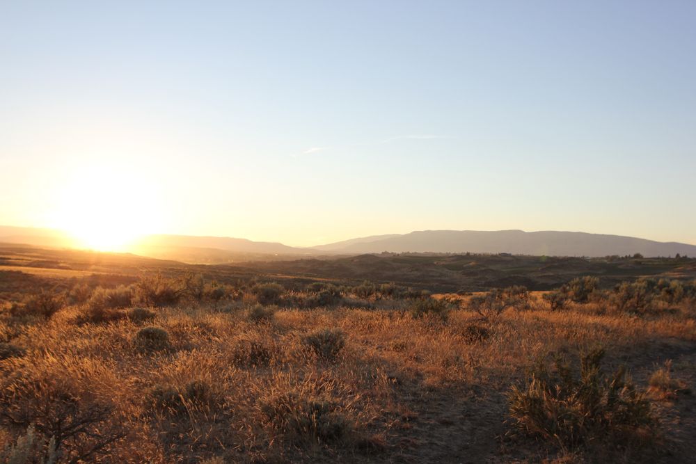 Landscape of Cowiche Canyon