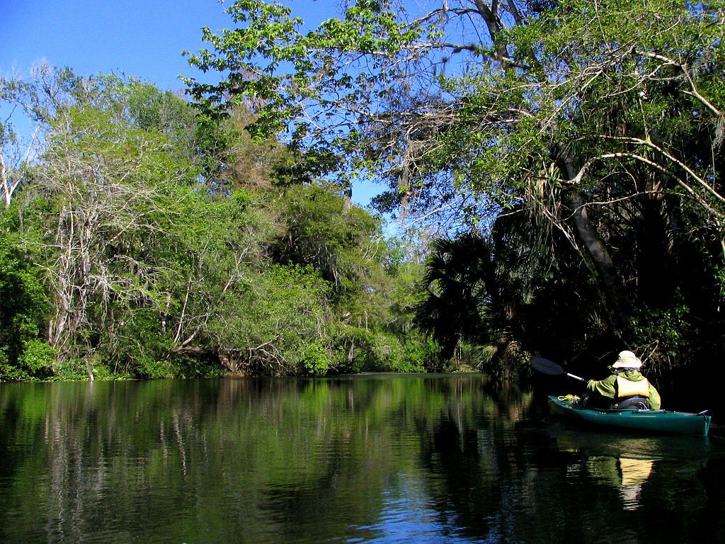 A person kayaking at Hillsborough River State Park