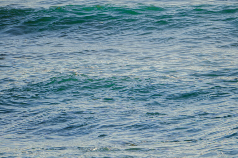 Gentle waves ripple across the surface at Windansea Beach in San Diego, capturing the serene beauty of the Pacific Ocean.
