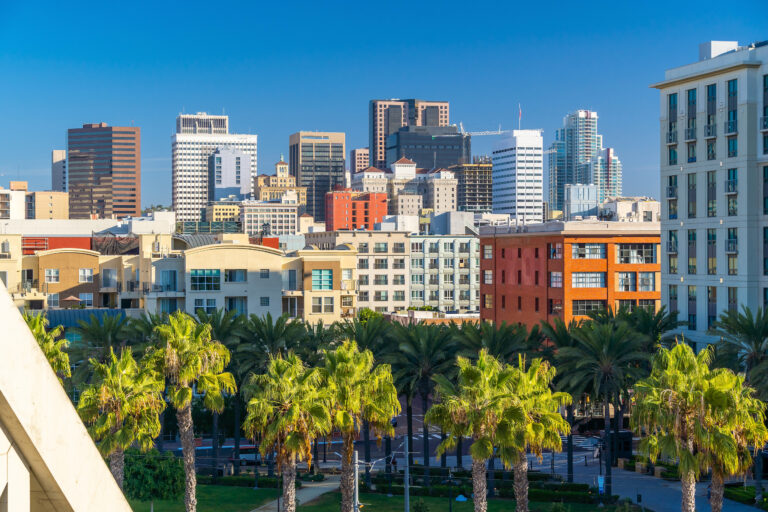 The vibrant Downtown San Diego skyline basks in the warm glow of the California sun, framed by lush palm trees in the foreground.