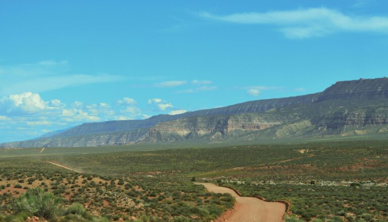 A rugged dirt road meanders through the vast, open landscapes of the Grand Staircase-Escalante National Monument in Utah, under a clear blue sky.