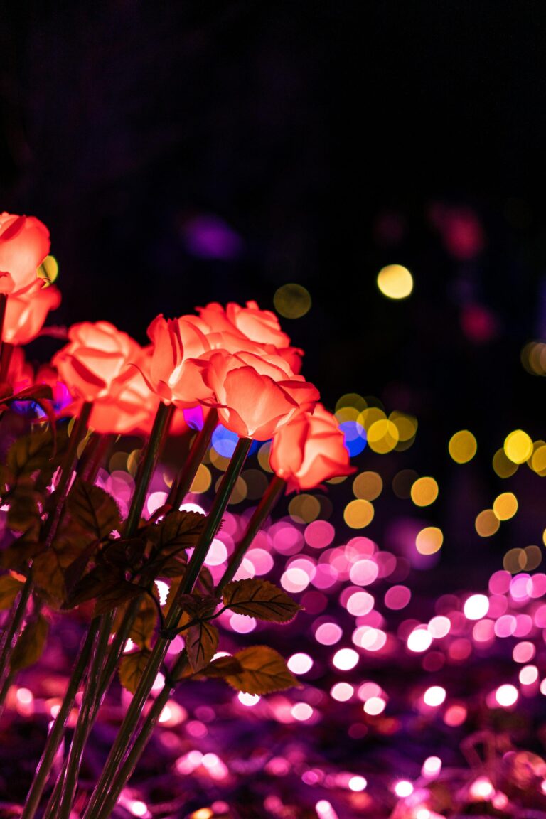 A vibrant bouquet of roses stands out against a backdrop of twinkling lights