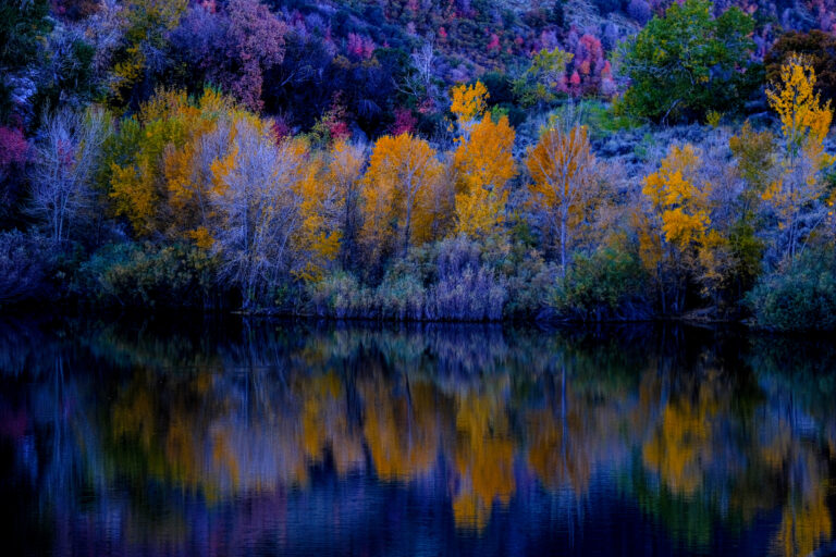 Autumn hues reflect beautifully on the tranquil waters of Lower Bell Canyon Reservoir, showcasing nature’s vibrant palette.