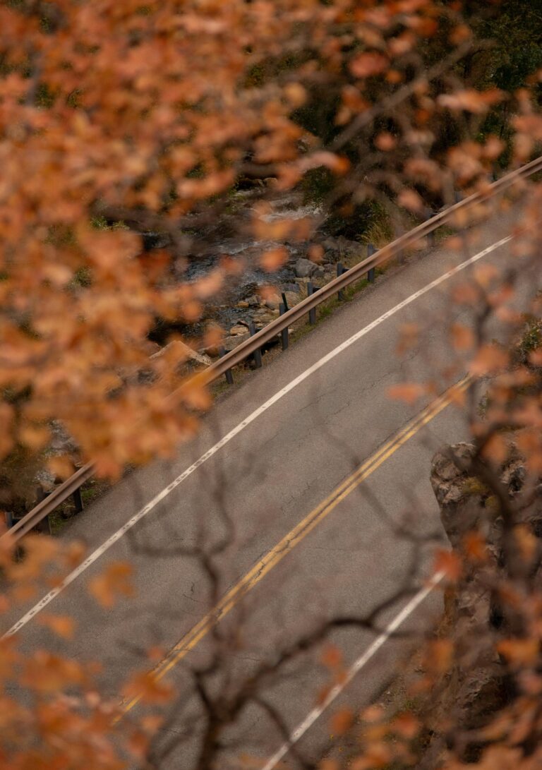 Utah’s Highway 190 meanders through the vibrant autumn foliage of Big Cottonwood Canyon.