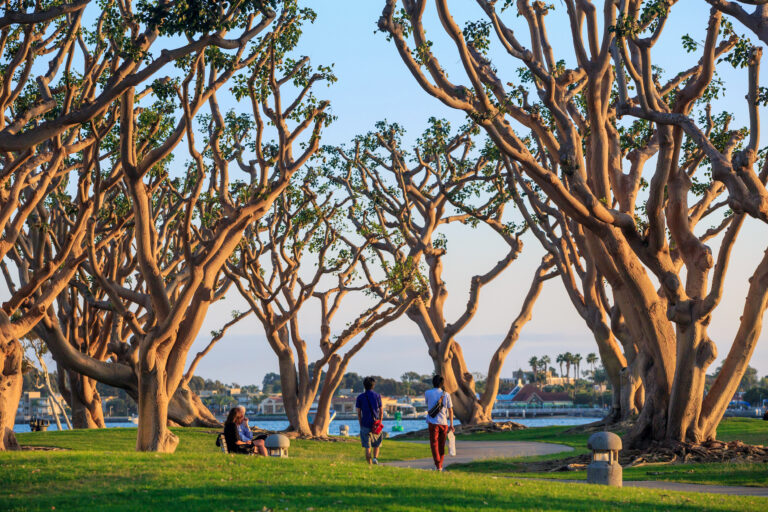 Strolling through San Diego Waterfront Public Park, visitors enjoy the serene marina views set against the vibrant backdrop of the San Diego skyline.