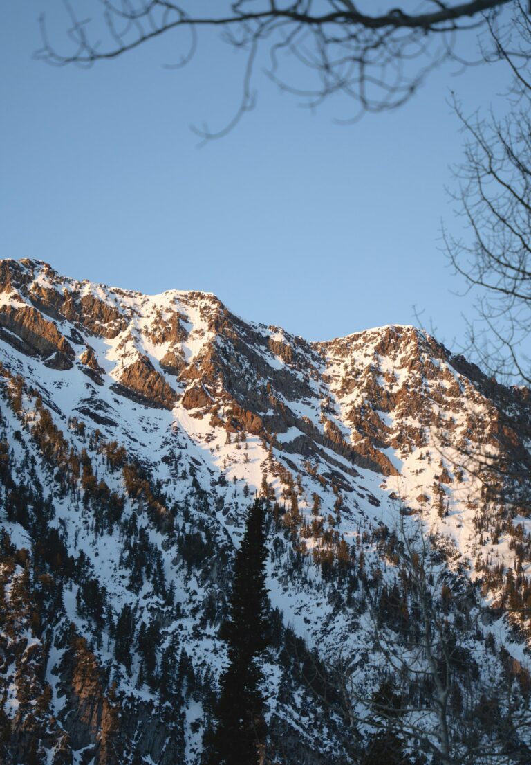 Bathed in the golden light of sunset, the snow-clad peaks of Little Cottonwood Canyon stand majestically with a solitary tree accentuating the rugged Utah landscape.