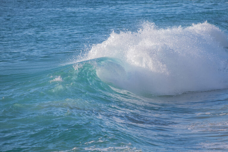 A vibrant wave crests with a spray of foam at Treasure Island Beach near Wesley Drive.