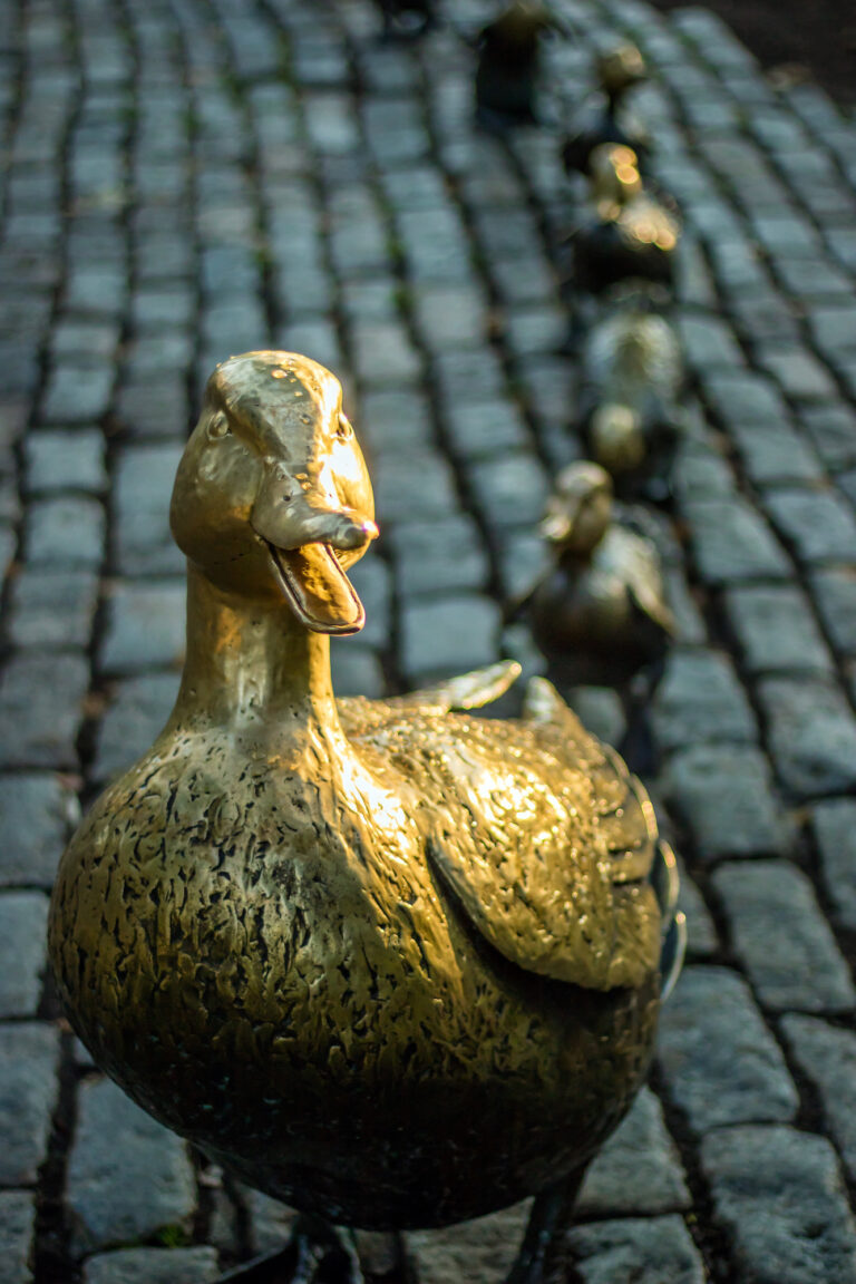 A golden statue of a mother duck followed by her ducklings captures the charm of the Boston Public Garden in the warm glow of the setting sun.