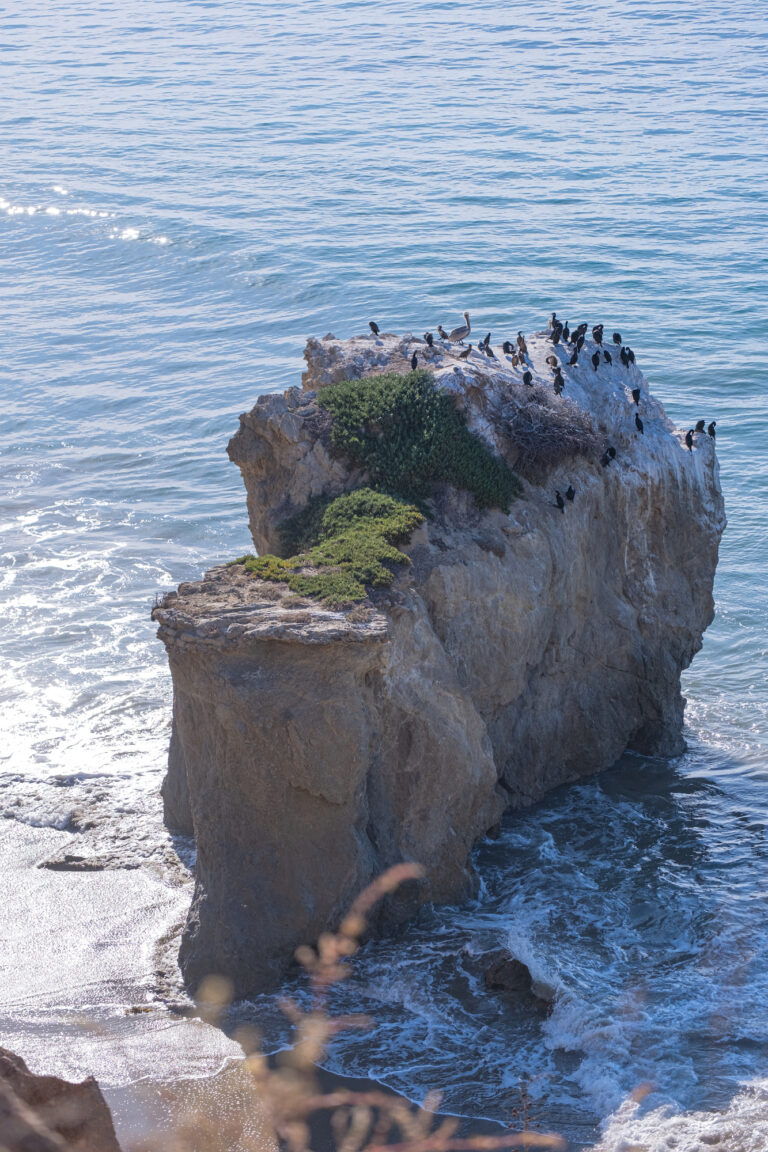 Birds perch atop a rugged rock formation at El Matador State Beach, where the Pacific Ocean gently laps the shore.