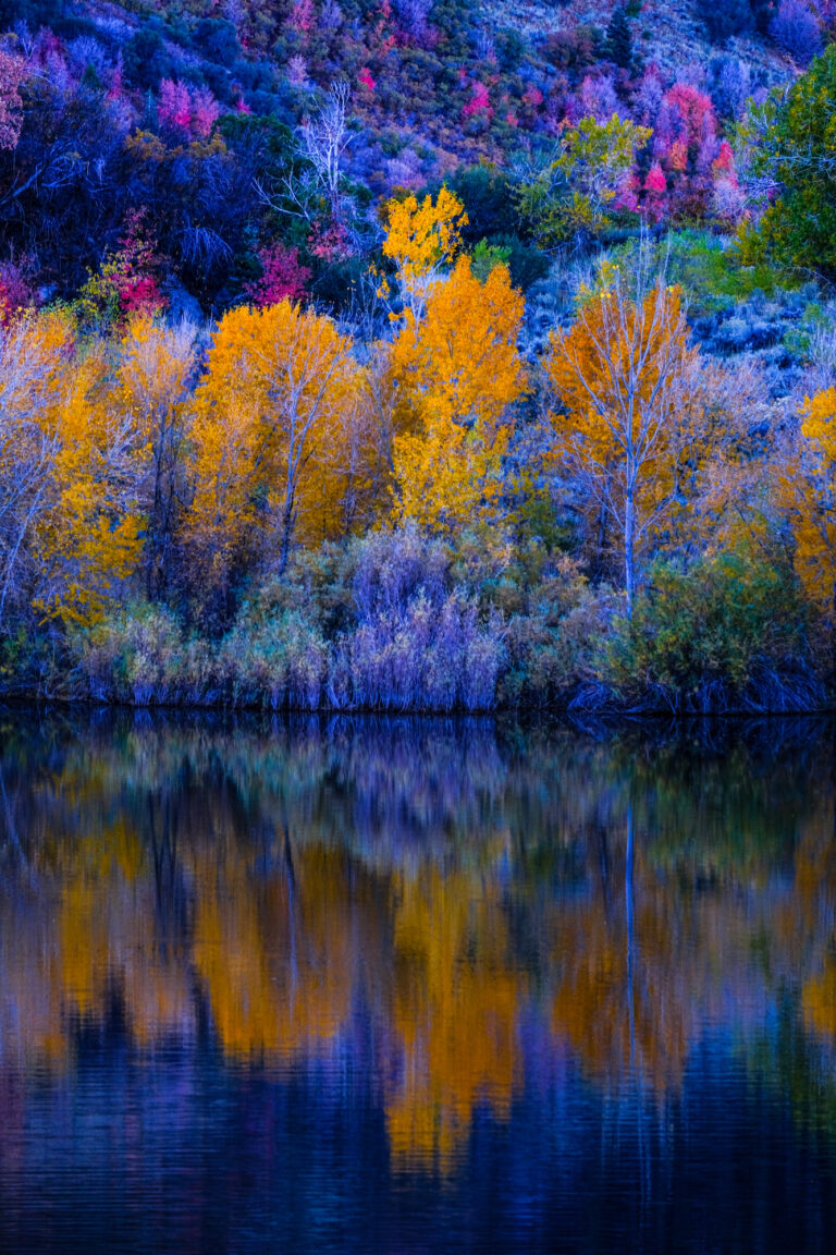 Autumnal hues paint a serene reflection at Lower Bell Canyon Reservoir, capturing the tranquil beauty of nature’s palette.
