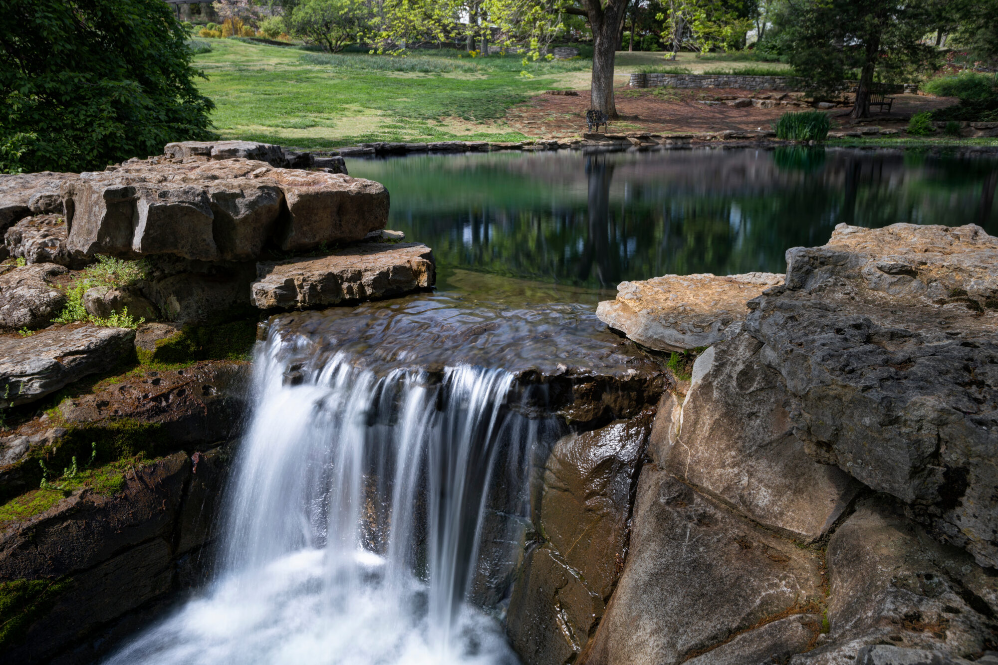 Cheekwood Estate & Gardens