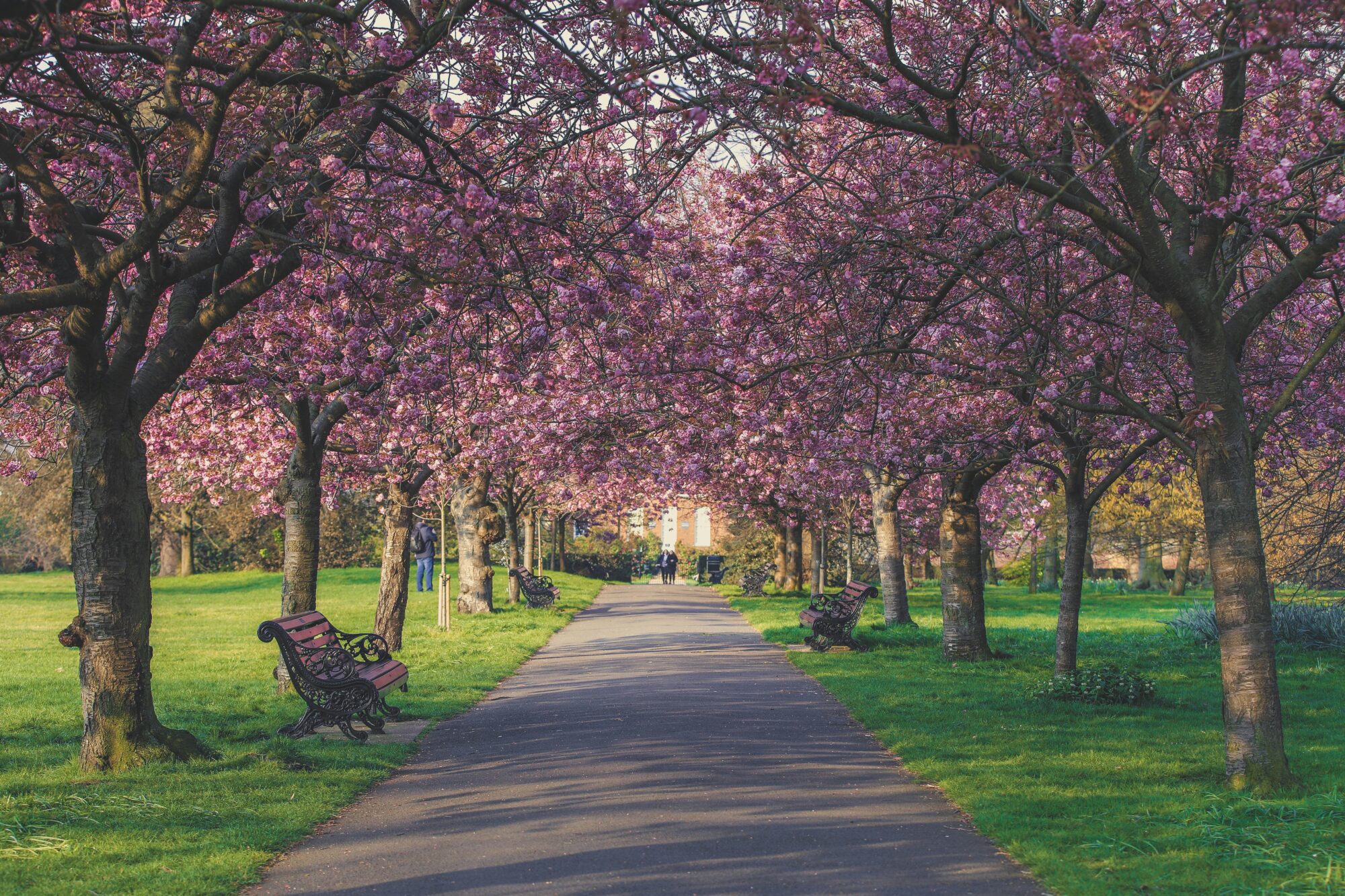 Greenwich Park
