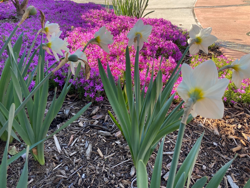 Gateway Gardens in Greensboro, NC