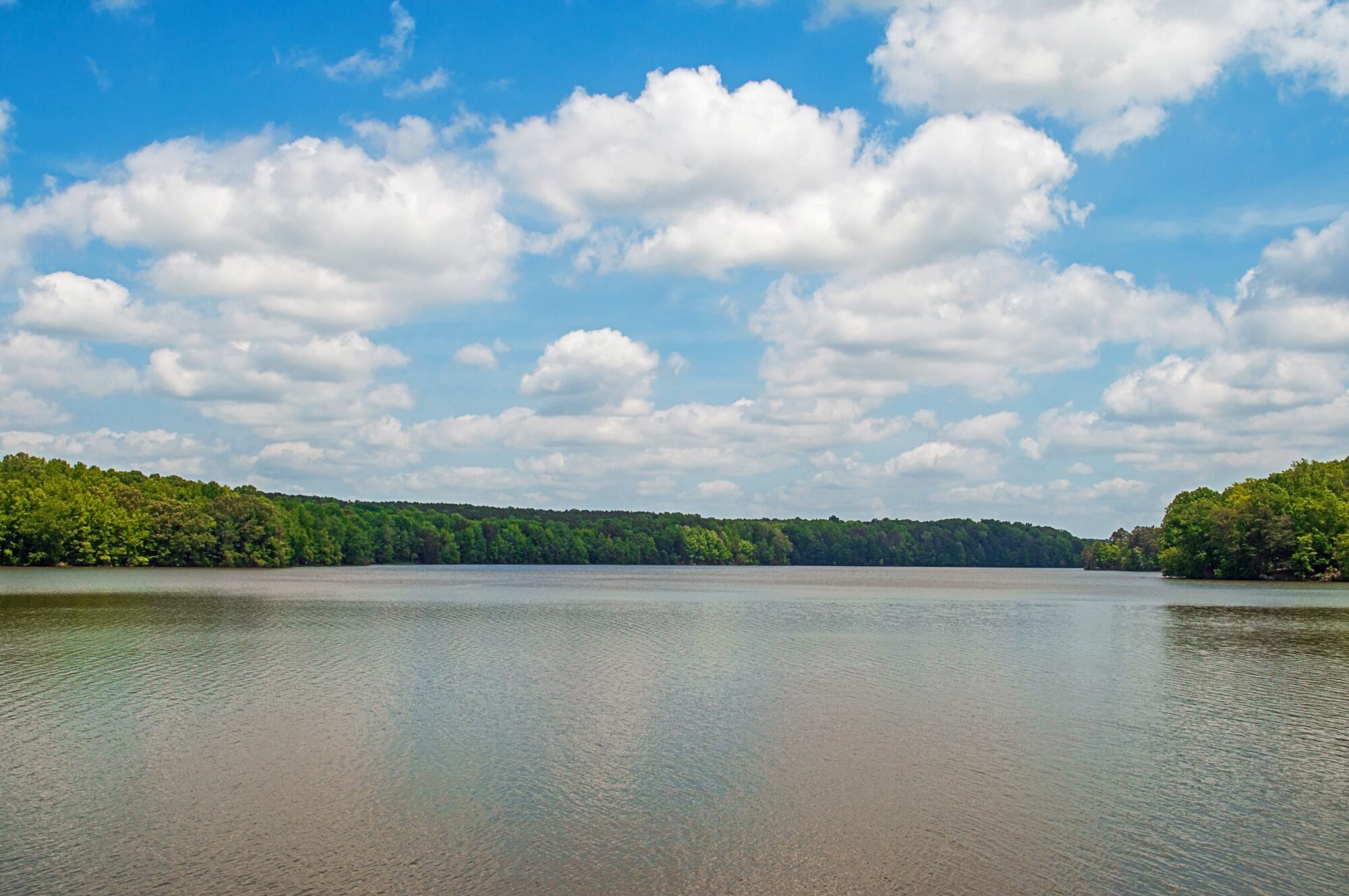 Lake Brandt in Greensboro, NC